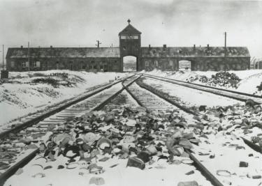 Tory kolejowe prowadzące do obozu Auschwitz-Birkenau, 1954. Fot. CC BY-SA 3.0 de